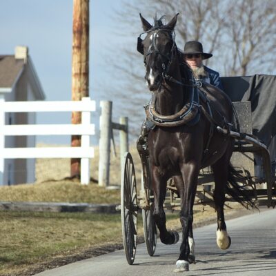 Les Amish: comment arrivent-ils à vivre sans technologie?